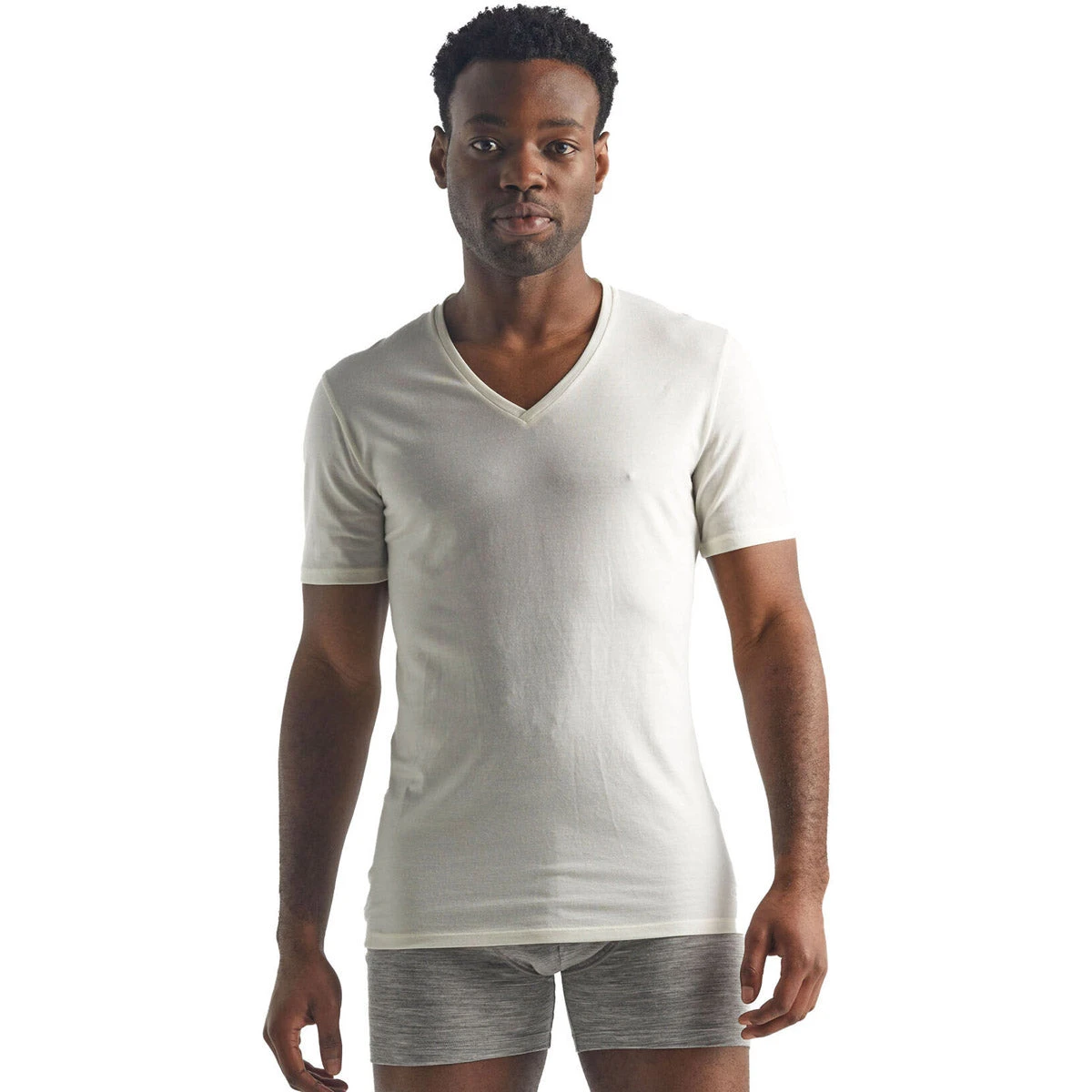 Icebreaker Men's Merino Anatomica Short Sleeve V Neck T-Shirt 3 Icebreaker Men's Merino Anatomica Short Sleeve V Neck T-Shirt