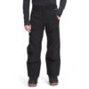The North Face Men's Seymore Pant